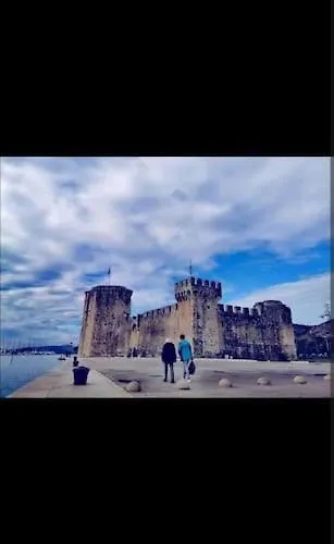 Paradise * 트로기르